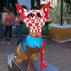 Vínculos entre el perro y su dueño (primera parte)